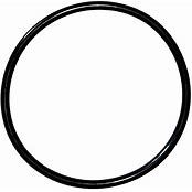 SPX1500P O RING SPX1500P O RING