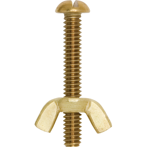 36620 POOLMASTER BOLT &WING NUT