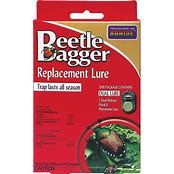 JAPANESE BEETLE BAIT
