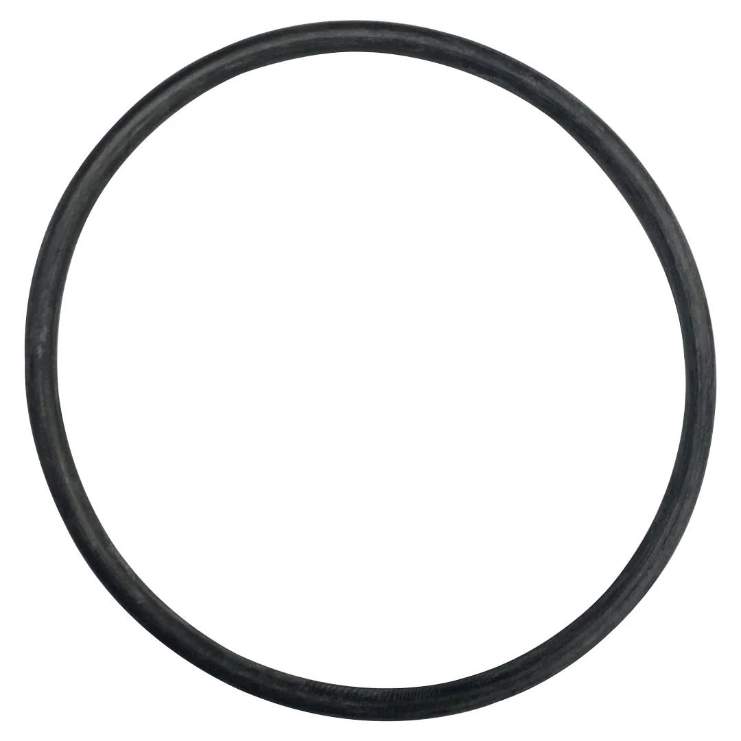 ECX1287 O-RING