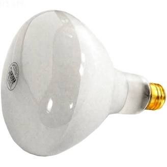 500W 120V BULB