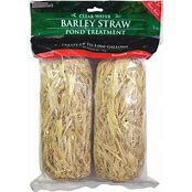 BARLEY STRAW 2PK BARLEY STRAW 2PK