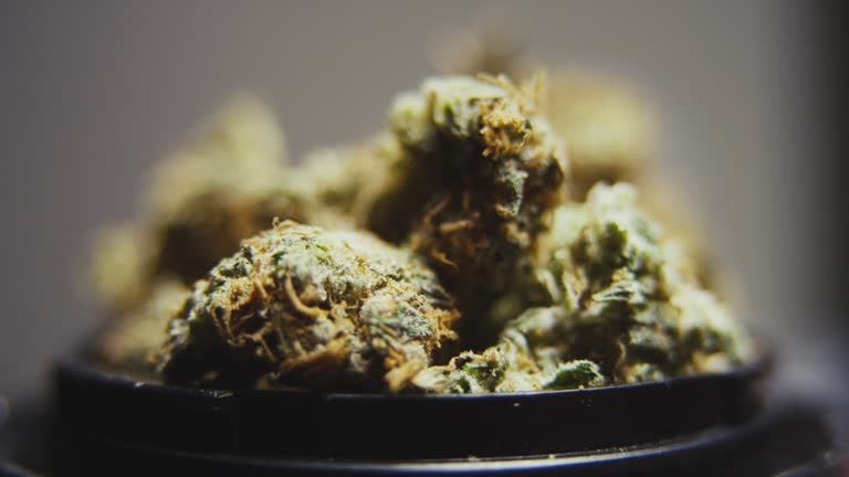 Nug Brother's 3.5g Flower