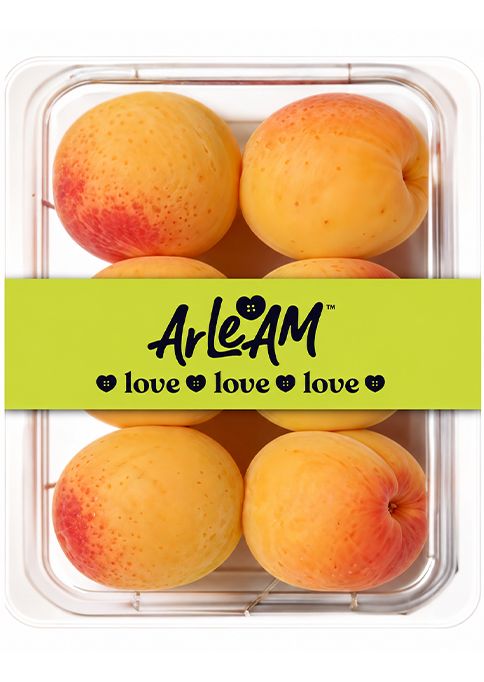 E-commerce Product Image
