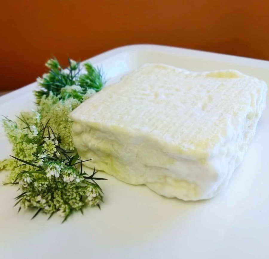 Tulip Tree Creamery - Queen Anne's Lace