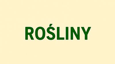 Rośliny