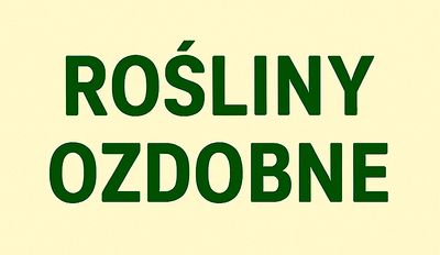 Rośliny ozdobne