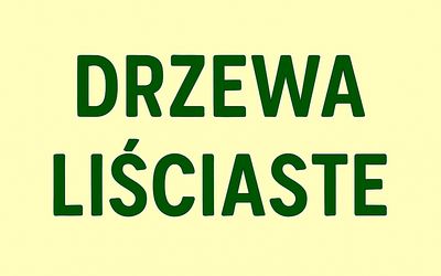 Drzewa ozdobne liściaste