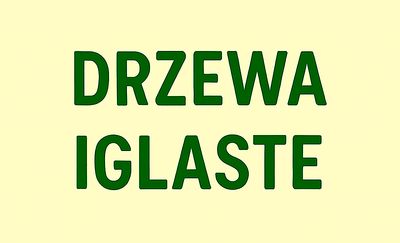 Drzewa i krzewy iglaste