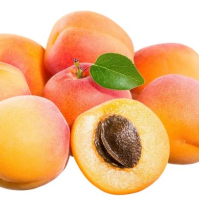 Morela 'GOLDRICH' letnia odporna odmiana