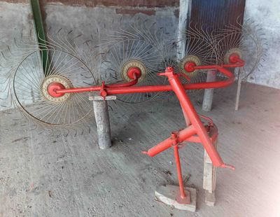 Hileradores de soles