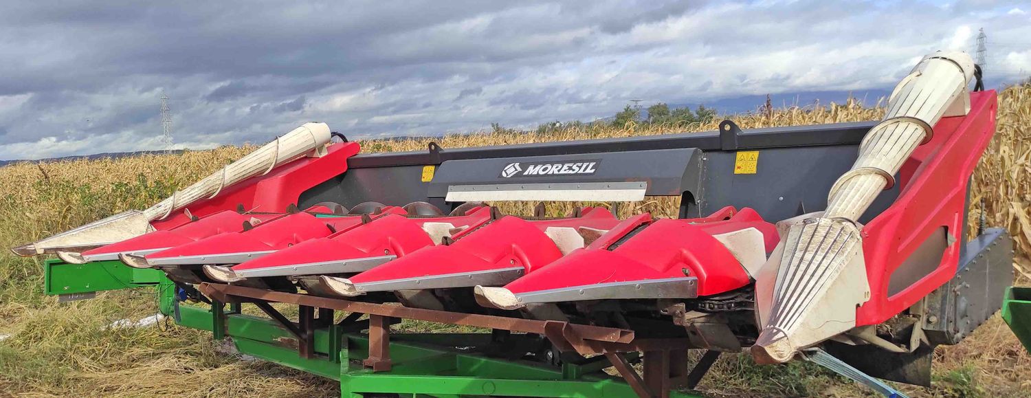 Cabezal Moresil de 6 surcos.