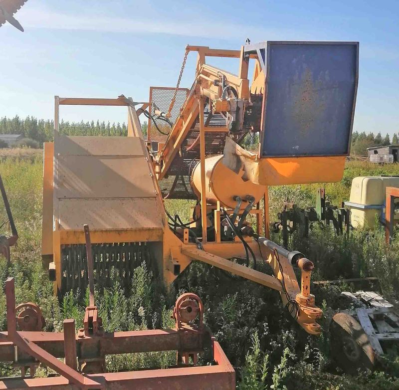 Cosechadora de fresas.