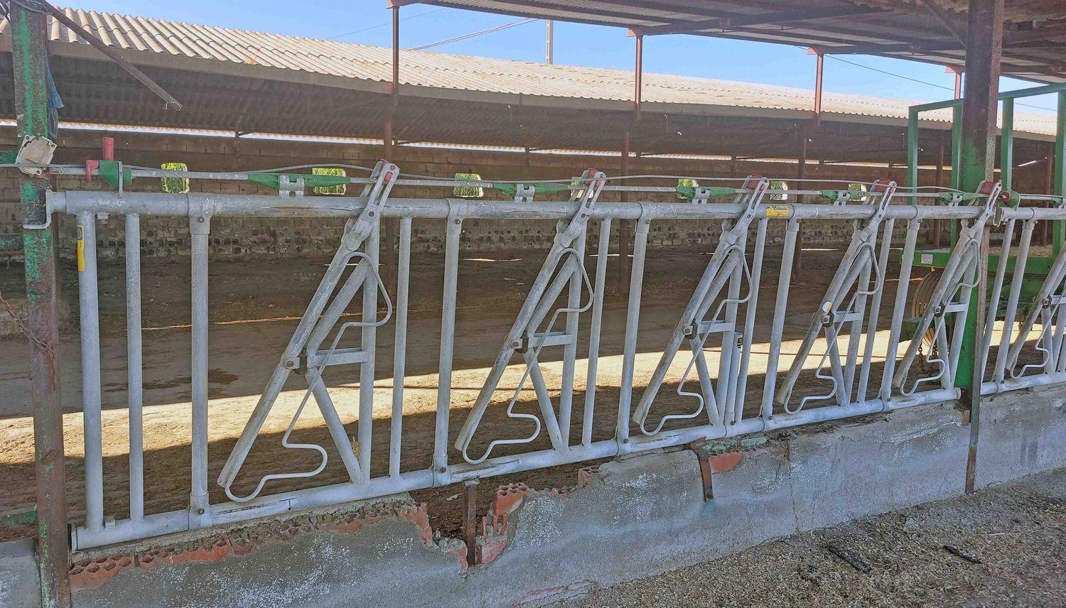 amarres cepos jourdain leche vaquería vaqueria, mocha frisona suiza pienso ordeño unifeed mezclador purín saneamiento mamitis