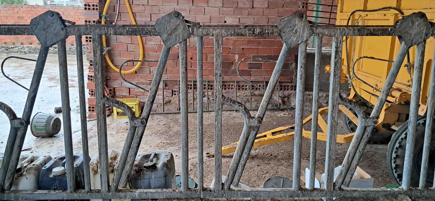 amarre cornadizas cepos jourdain leche vaquería vaqueria, mocha frisona suiza pienso ordeño unifeed mamitis purín saneamiento