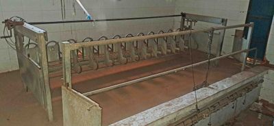 amarre cornadizas cepos jourdain leche vaquería vaquerÍa, mocha frisona suiza pienso ordeño unifeed mamitis purín saneamiento