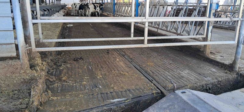 arrobadera ordeño vaca leche encamadora tanque frisona suiza estiércol forraje pienso telescópica pala unifeed mezclador