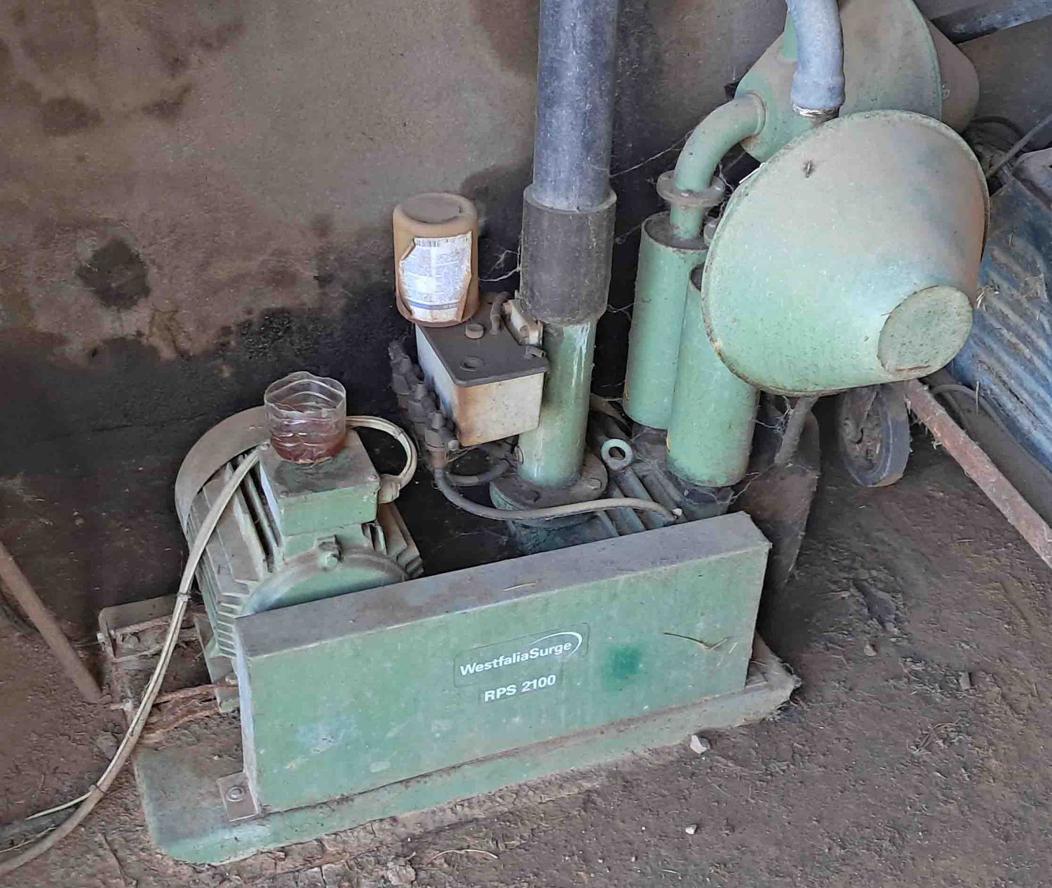 bomba vacio oveja manchega assaf talavera cabra murciano-granadina malagueña guadarrama saneamiento ubre leche alfalfa