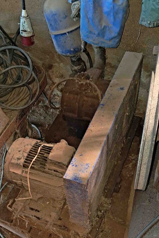 bomba vacio oveja manchega assaf talavera cabra murciano-granadina malagueña guadarrama saneamiento ubre leche alfalfa