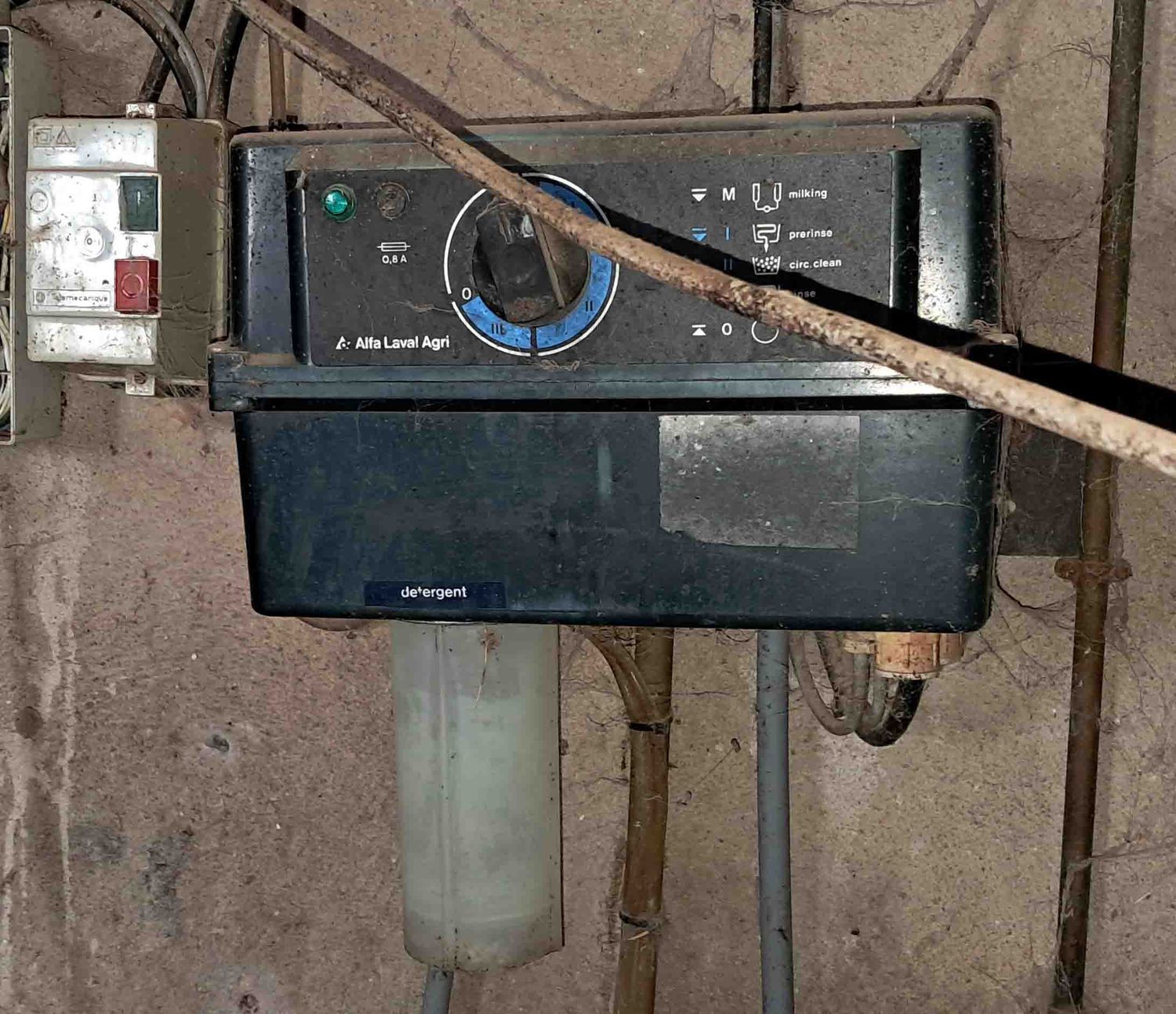 lavadora vacio oveja manchega assaf talavera cabra murciano-granadina malagueña guadarrama saneamiento ubre leche alfalfa