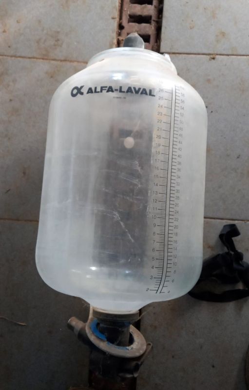 medidor westfalia laval amarre oveja manchega assaf cabra murciano-granadina malagueña guadarrama saneamiento ubre leche