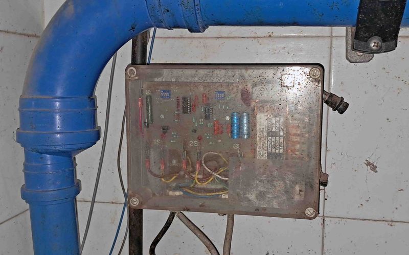 bomba vacio oveja manchega assaf talavera cabra murciano-granadina malagueña guadarrama saneamiento ubre leche alfalfa