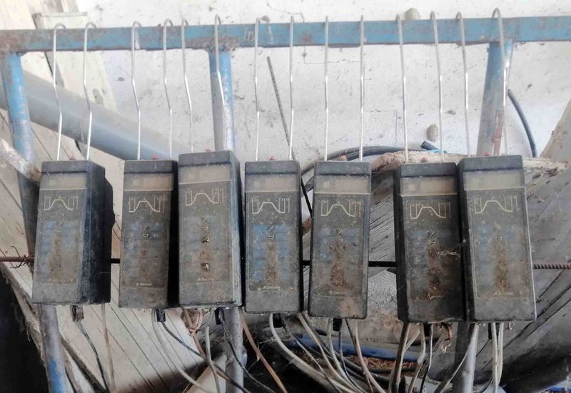 medidor leche oveja manchega assaf talavera cabra murciano-granadina malagueña guadarrama saneamiento ubre leche alfalfa case