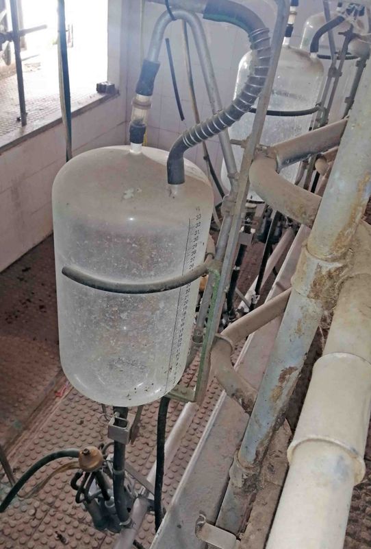 medidor westfalia laval amarre oveja manchega assaf cabra murciano-granadina malagueña guadarrama saneamiento ubre leche