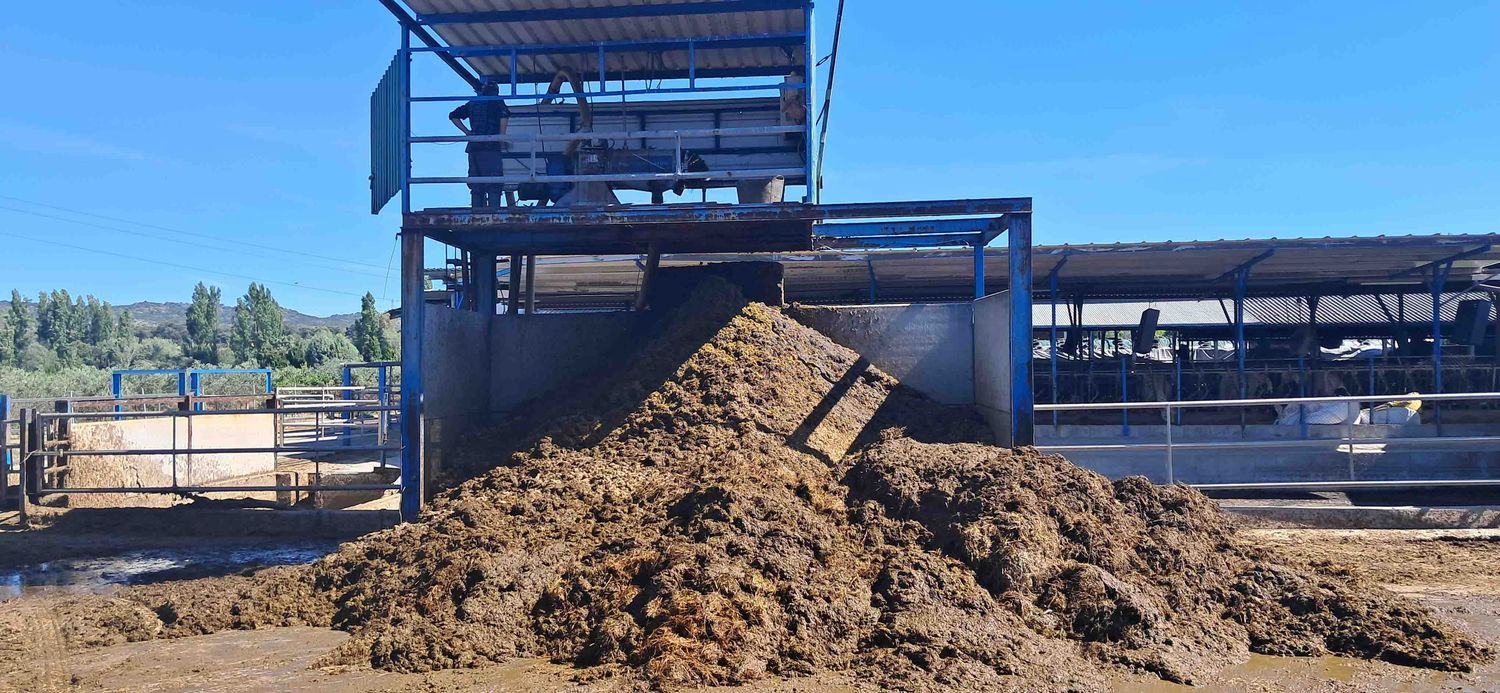 separador de estiércol ordeño vaca leche lechera encamadora tanque frisona suiza ternero forraje pienso telescópica cebadero