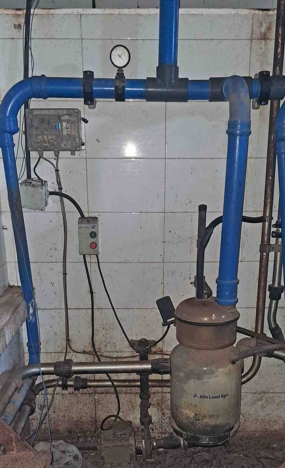 unidad final sala ordeño amarre oveja manchega assaf talavera cabra murciano-granadina malagueña guadarrama saneamiento ubre 