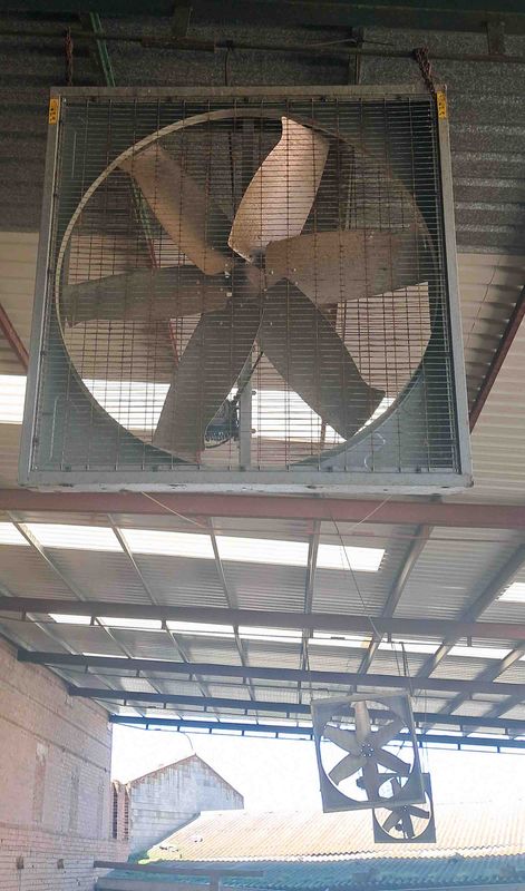 extractor ventilador mamitis cama caliente porta pezonera bomba vacío medidor ordeño vaca ubre leche encamadora tanque frison