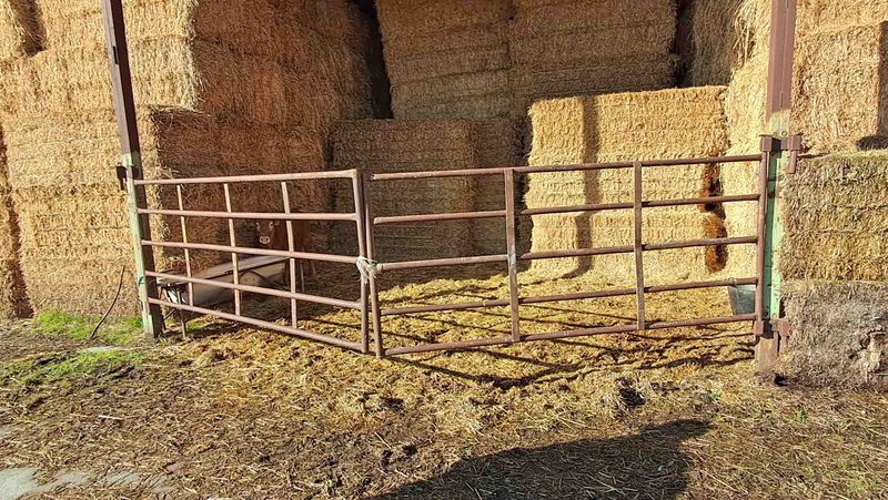 cerramiento vallas teleras choto cebo ternero ternera vaca de campo comedero silo alpaca pienso saneamiento angus charoles 