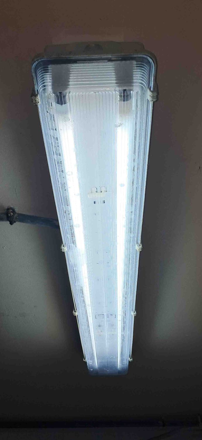 lampara pantalla fluorescentes vaquería de leche oficina iluminacion sala luz vaca leche fosforescente vatio bombilla oveja