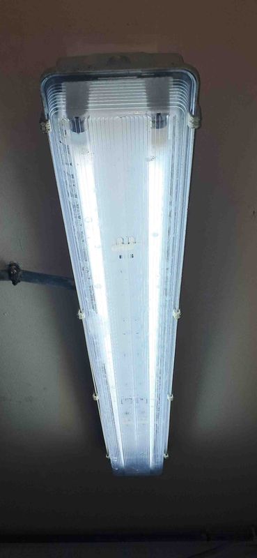 lampara pantalla fluorescentes vaquería de leche oficina iluminacion sala luz vaca leche fosforescente vatio bombilla oveja