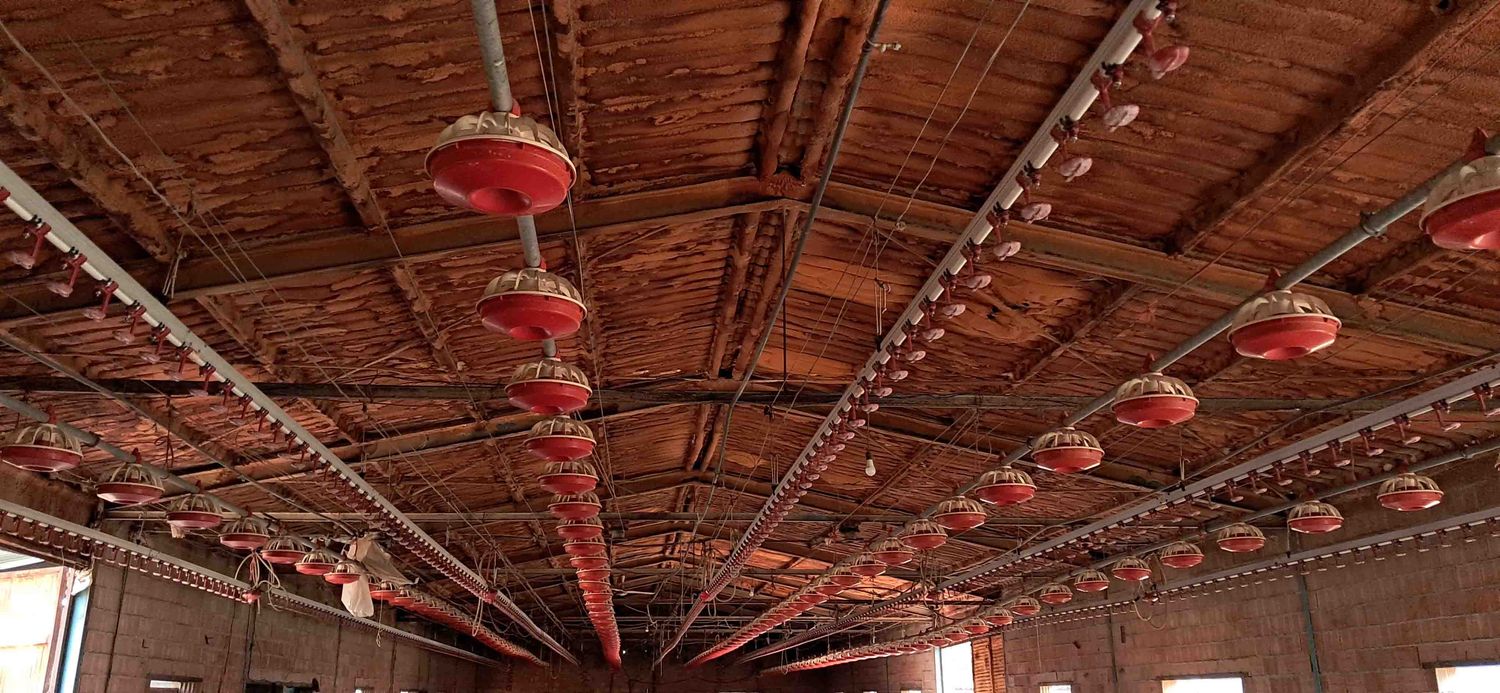 ave pollo gallina bebedero comedero tigsa extractor tractor con pala tenias cazo telescopica cama rotavators calefaccion case