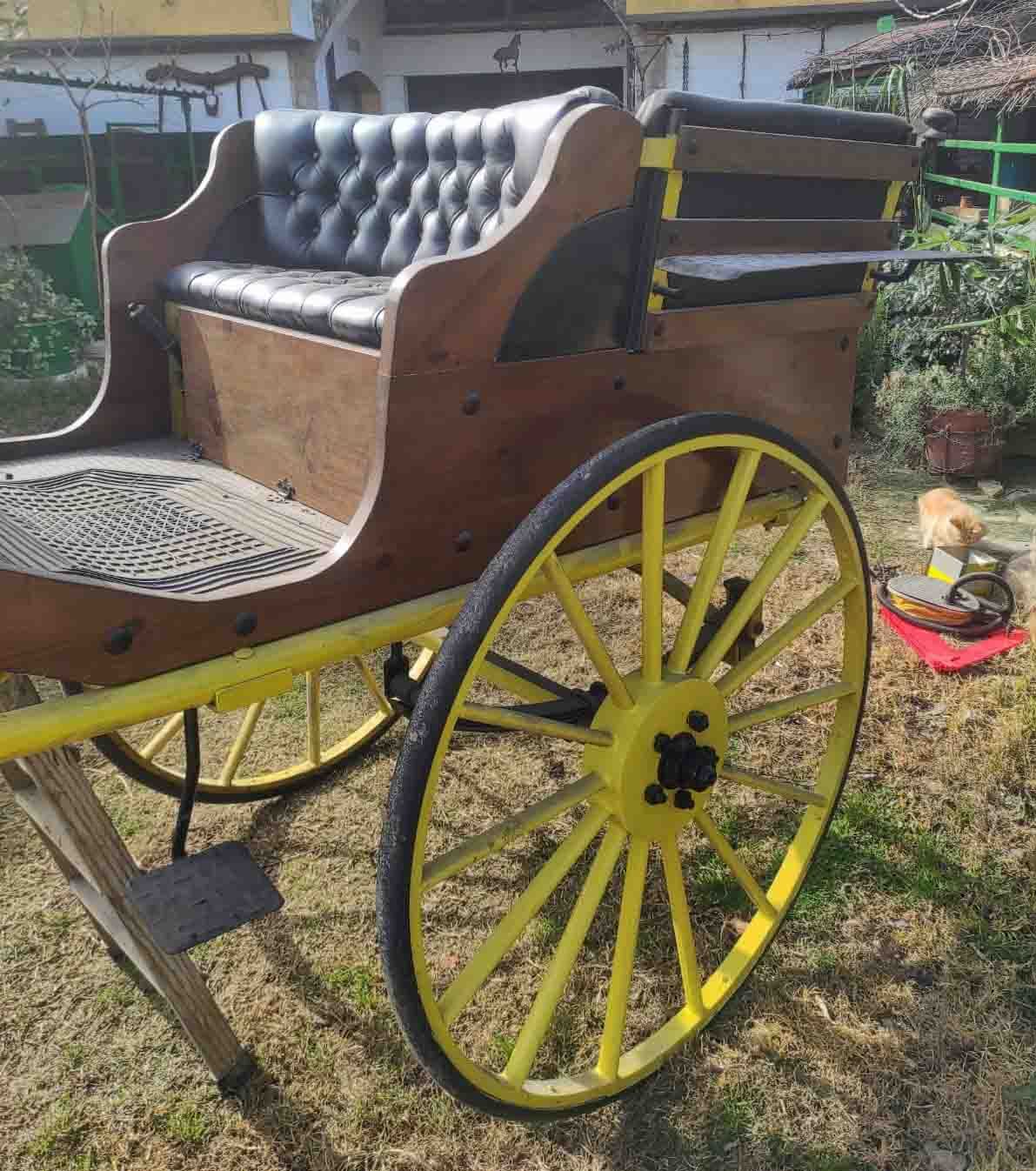 caballo equino copos avena alimentacion alpacas heno forraje maiz paja paca empacadora segadora hilerador dumper carretilla