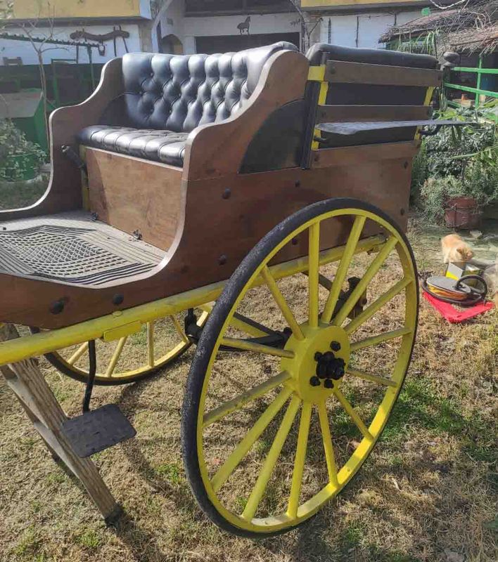 caballo equino copos avena alimentacion alpacas heno forraje maiz paja paca empacadora segadora hilerador dumper carretilla