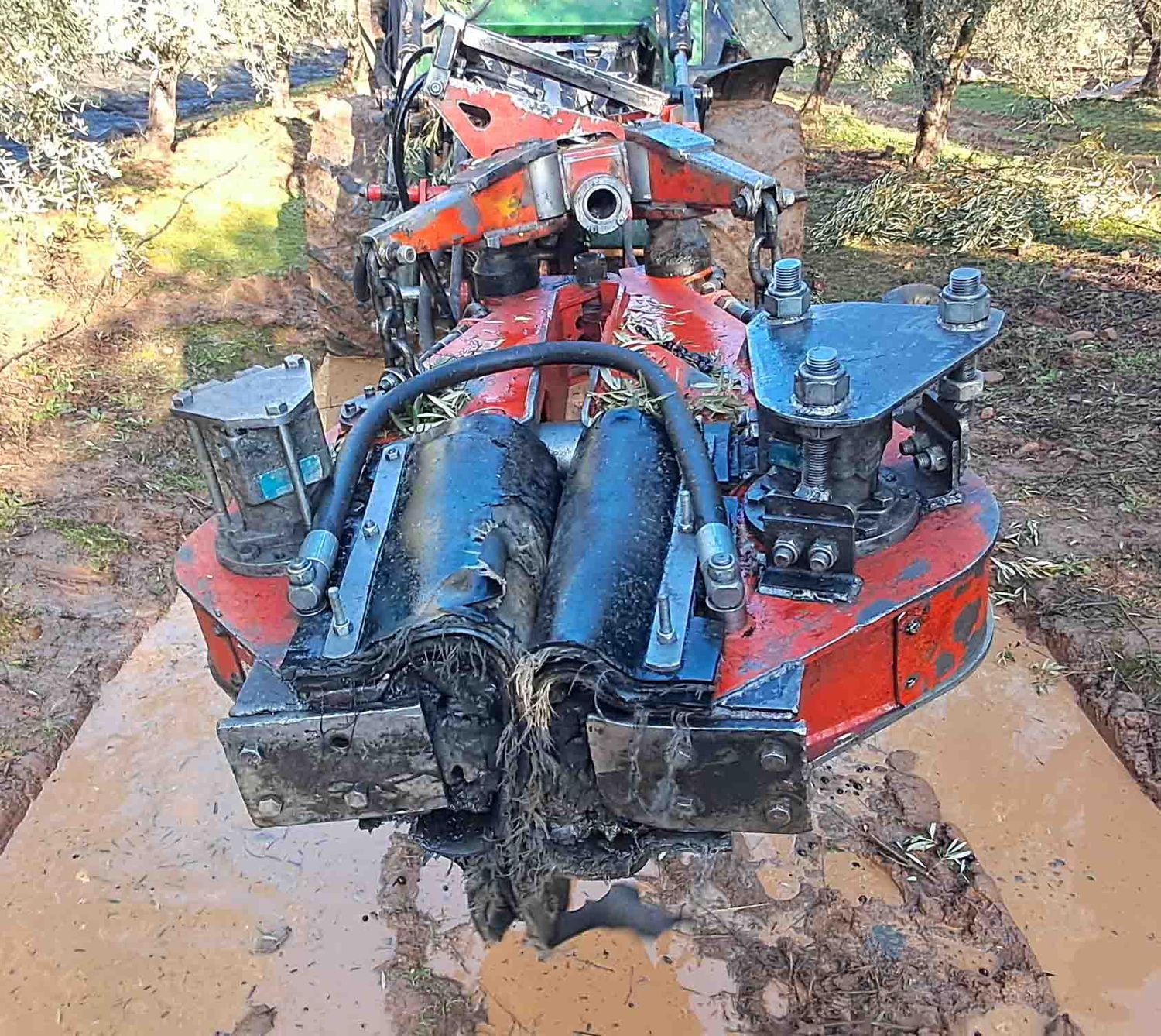 Paraguas vibrador aceituna pertiga varea oliva virgen extra cornicabra picual hojiblanca baustista topavi pellenc tagra pinza