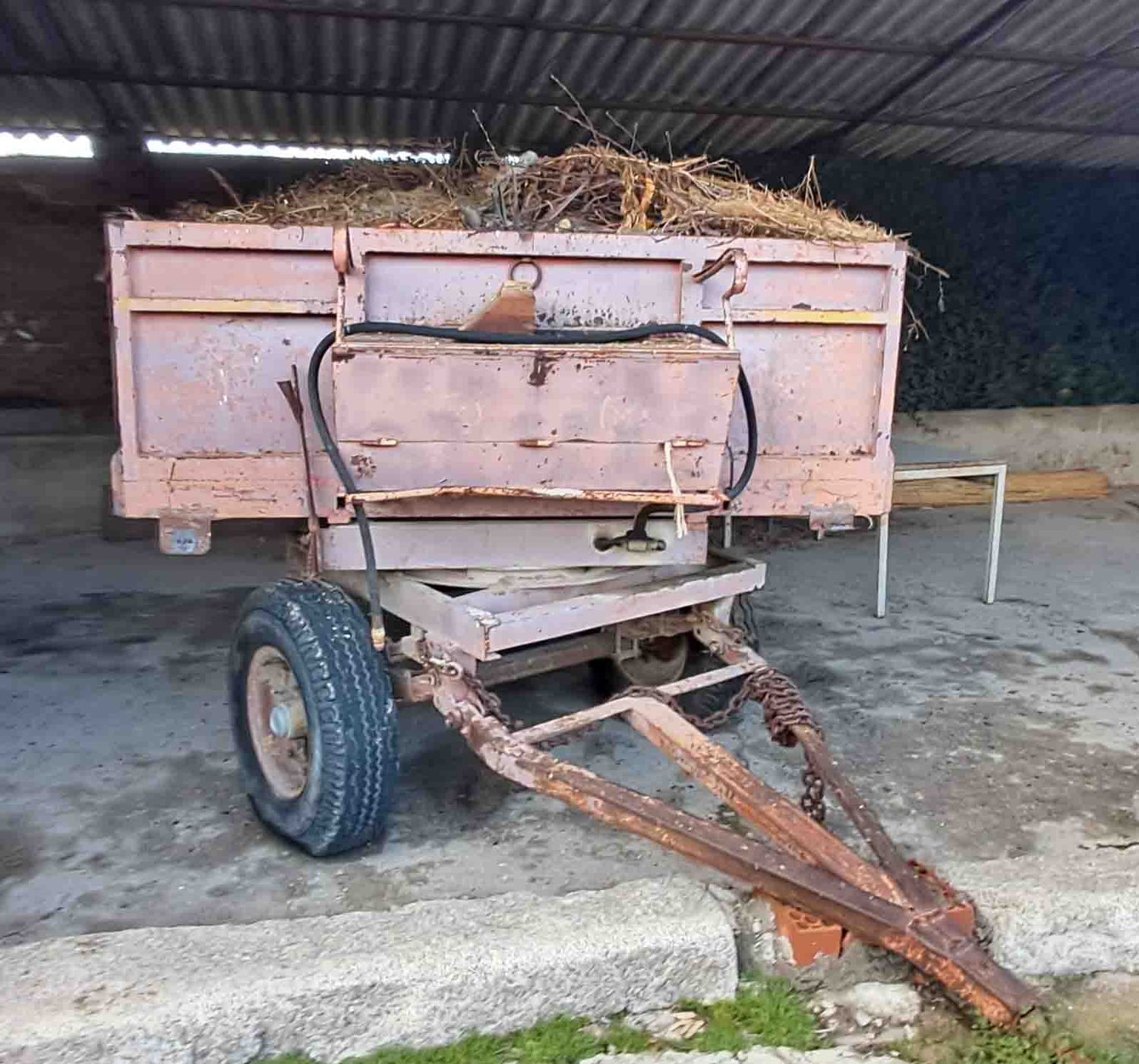 remolque agricola agrícola basculante 2 eje 6500 Kilo freno botella rueda sobrelateral caja cereal aceituna alpaca acarrear