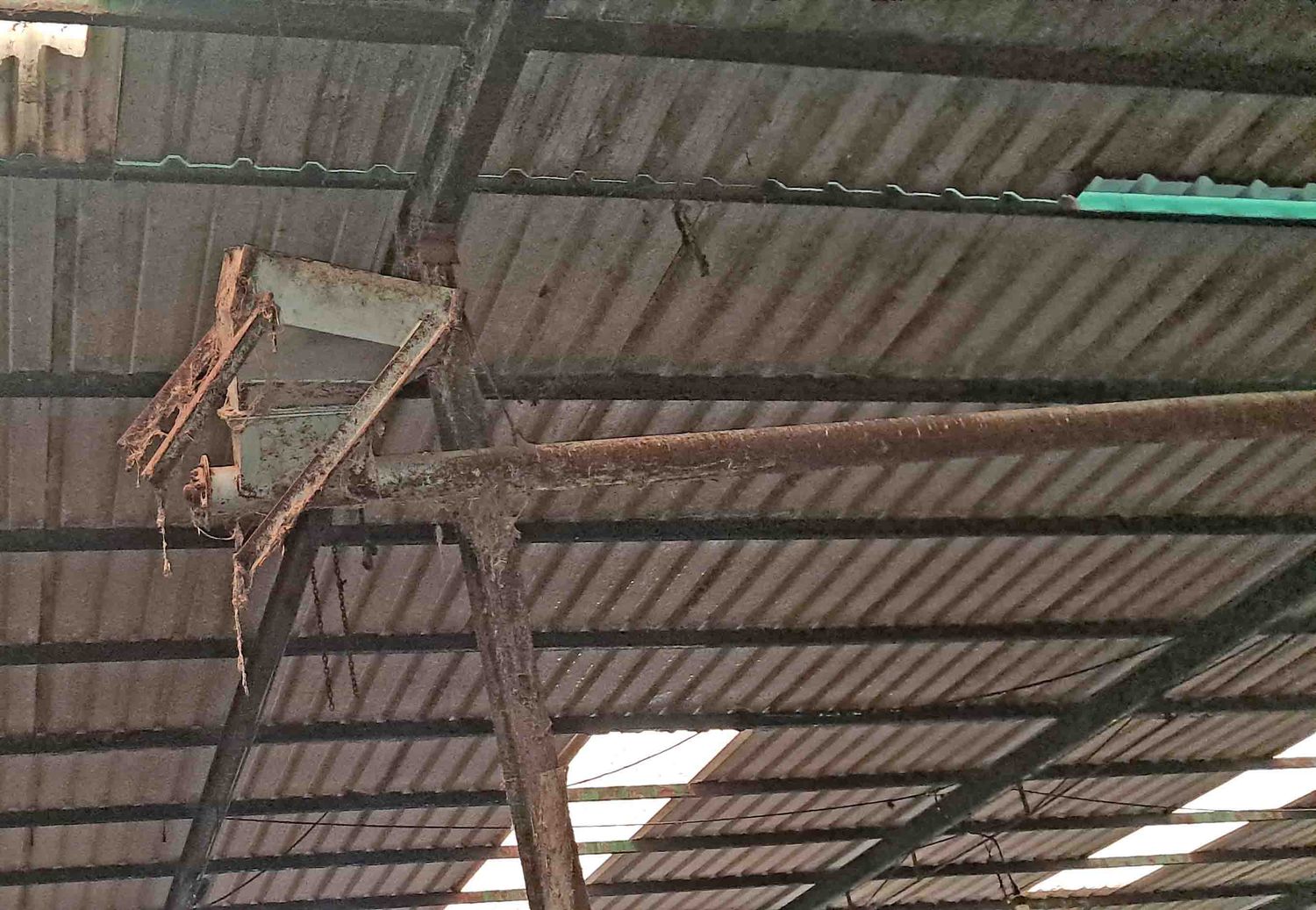 remolque cuba pienso ganadero camara tamame brazo descarga sinfin hidraulico cardan pienso tolva cebadero choto vacuno choto