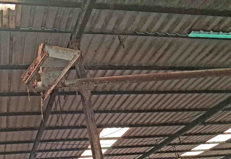 remolque cuba pienso ganadero camara tamame brazo descarga sinfin hidraulico cardan pienso tolva cebadero choto vacuno choto