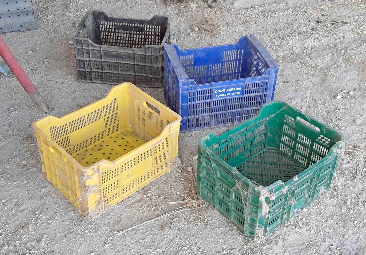 caja plastico plástico fruta frutal frutales hortaliza ciruela higo melecoton melocotón cereza guinda ajo patata judía judia