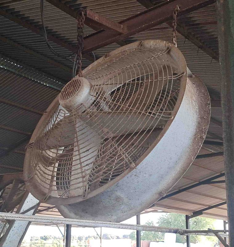 ventilador extractor sala ordeño vaca leche trifásico trifasico turbina motor frisona tractor unifeed alfa laval cubiculo
