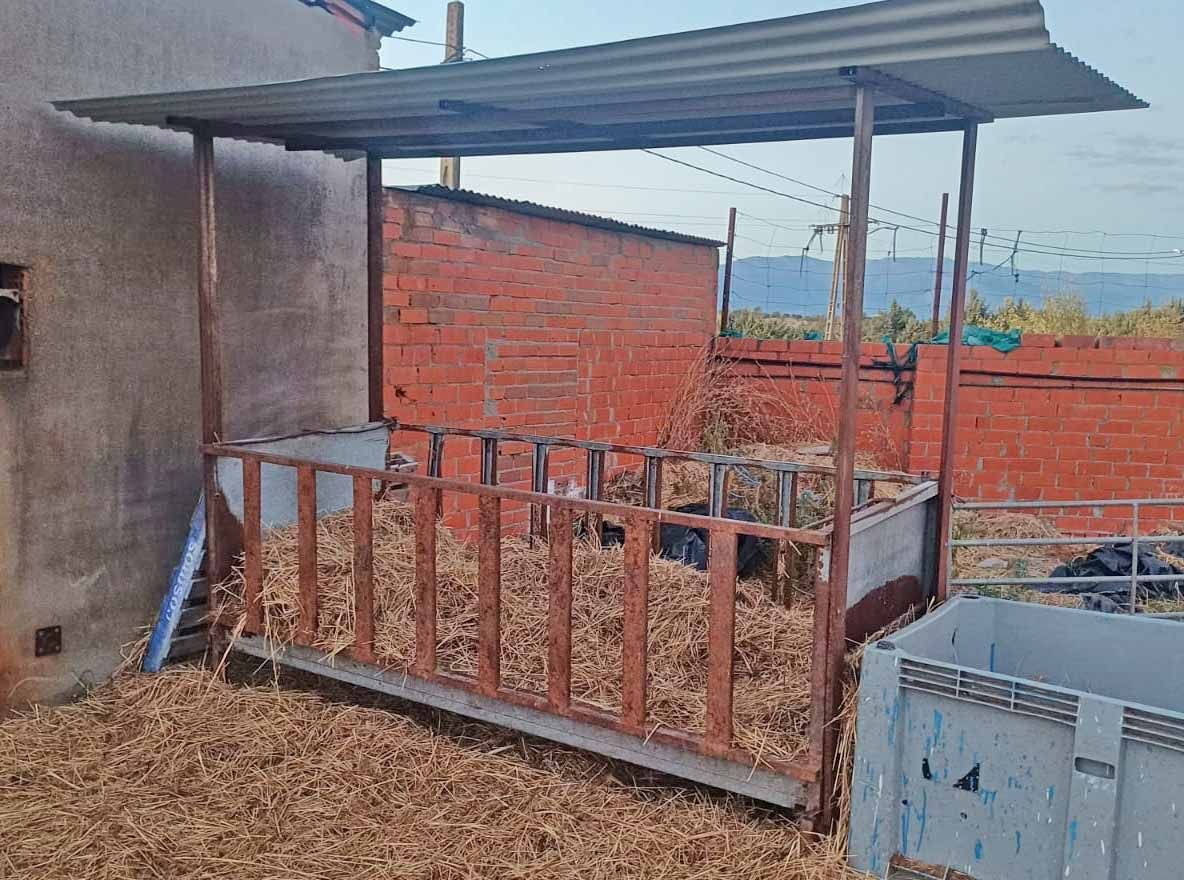 comedero pajero vacuno ternero vaca choto forraje comida tractor campo cebadero granja ganadero granjero techo comida alpaca