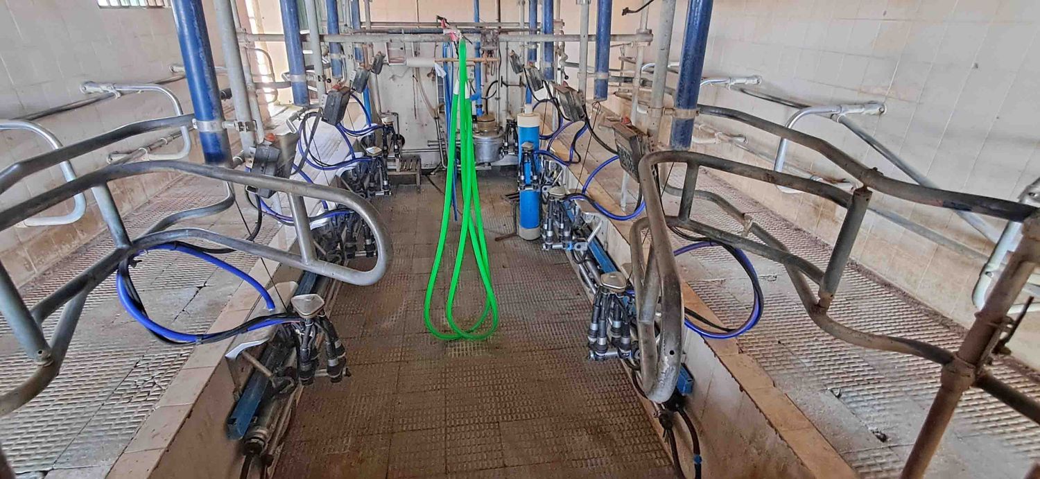 sala ordeño vaca leche granja frisona tetilla lavadora pulsador pulsadores monitor placa frio celula somatica unidad final