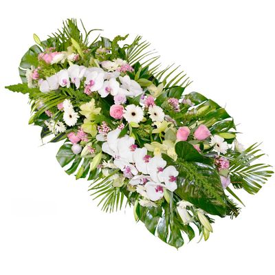 Dessus de cercueil exotique Dessus de cercueil exotique