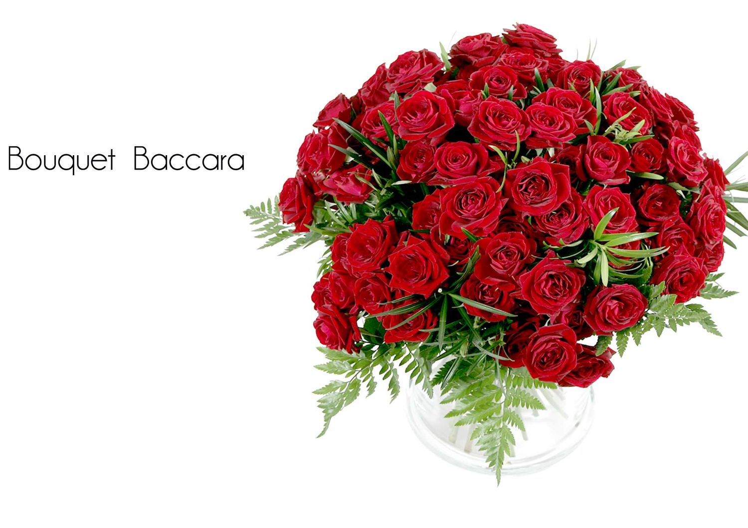 Bouquet Baccara