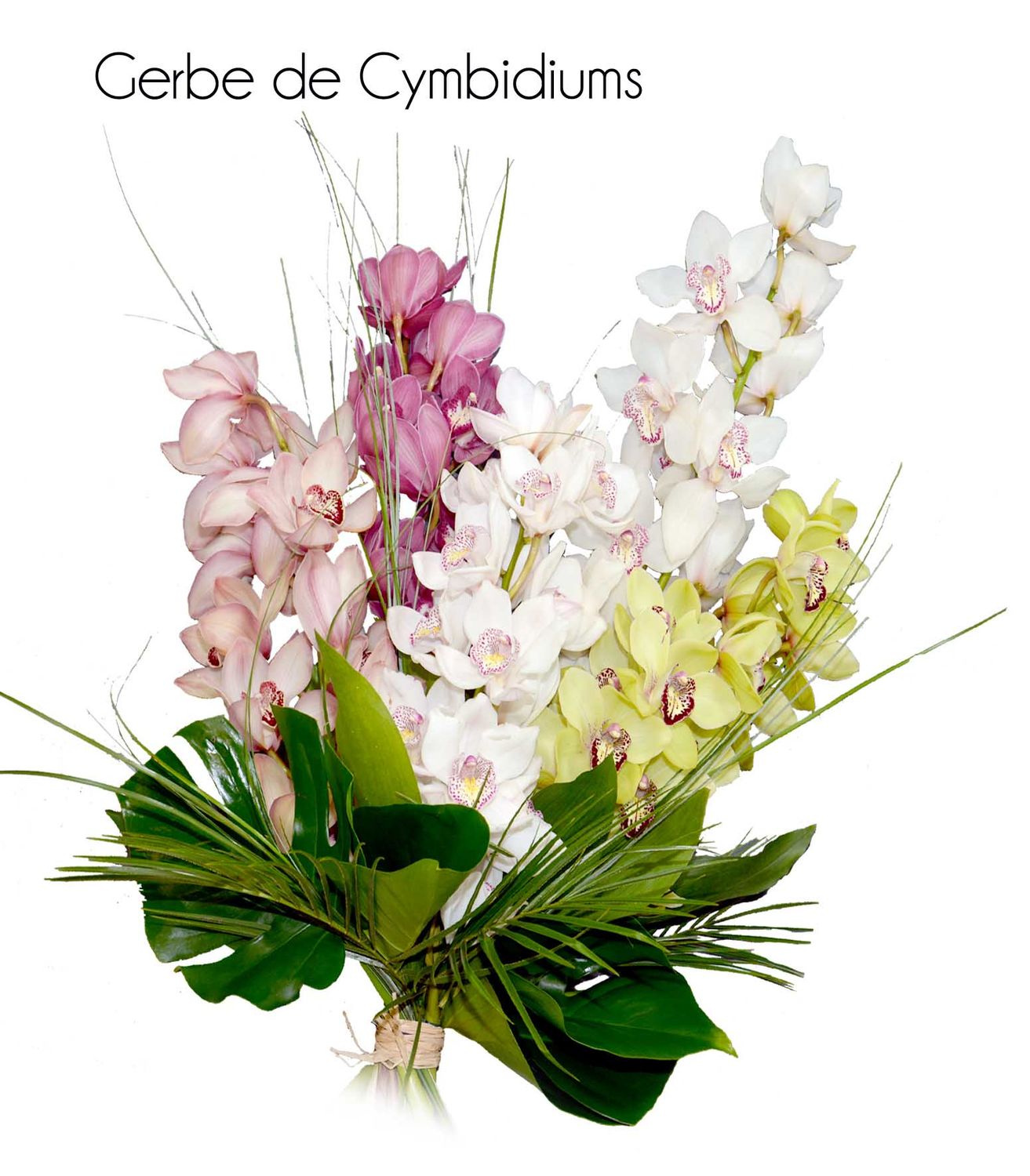 Gerbe de cymbidiums