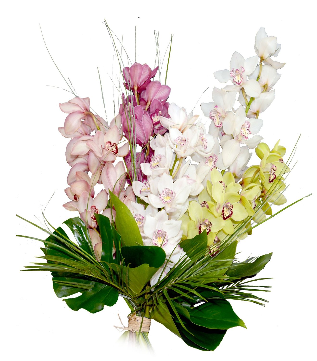 Gerbe de cymbidiums