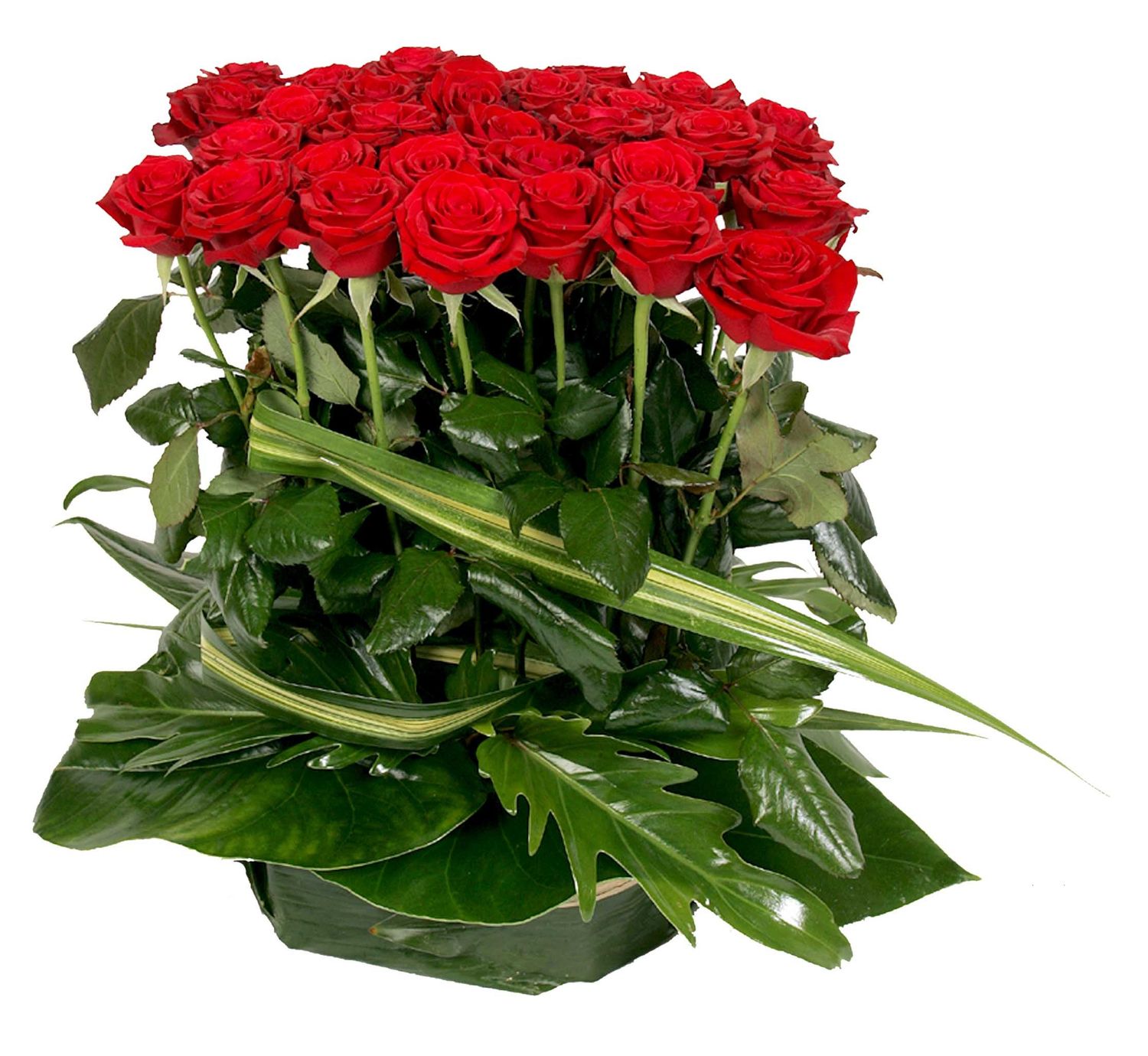 Roses rouges de l'adieu (prix de base : pour 20 roses, soit 4 € TTC l'unité) Roses rouges de l'adieu (prix de base : pour 20 roses, soit 4 € TTC l'unité)